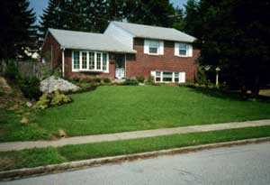 Lawn Care For Yardeners
