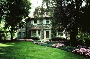 Impatiens