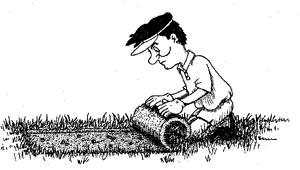 Symptoms Of Grubs In Lawns