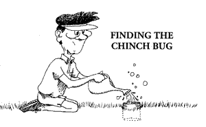 Finding the Chinch Bugs