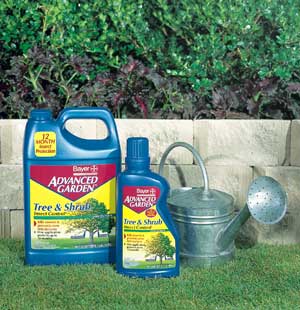 bayer advanced tree and shrub